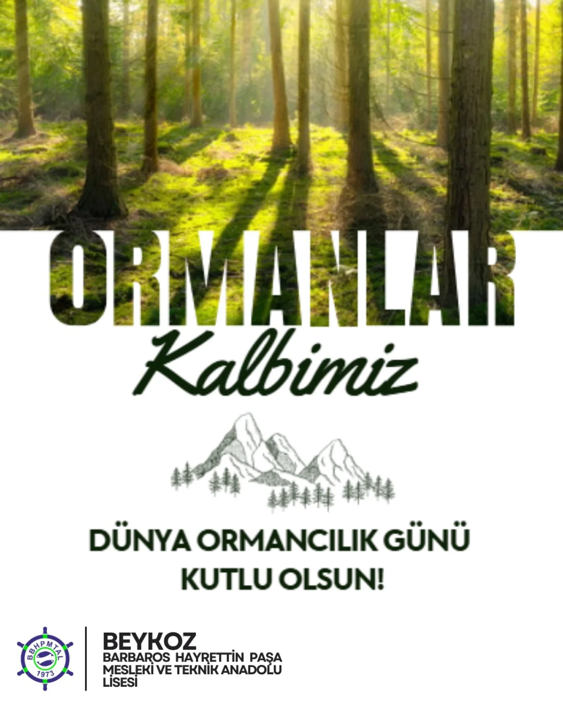 Doğa Bizim Evimiz, Ormanlar Nefesimiz! 🌲🌬️